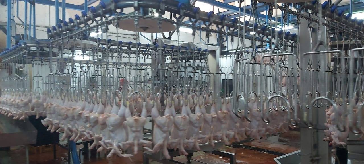 طرح مشروع مسلخ عمّان الجديد للاستثمار