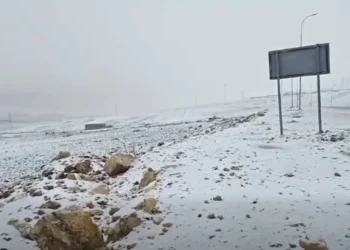تراكم الثلوج فوق مرتفعات الطفيلة