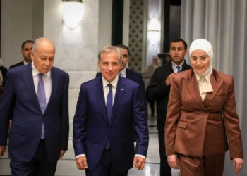 رئيس الوزراء يلتقي الأمين العام لجامعة الدول العربية
