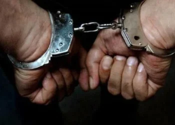 الأجهزة الأمنية تُلقي القبض على سارقي “أغنام” في بني كنانة