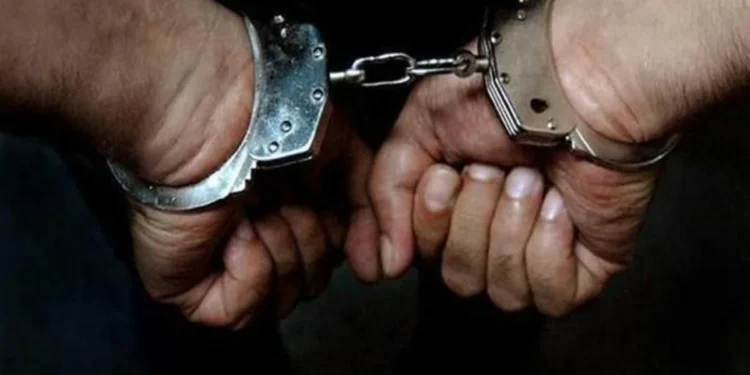 الأجهزة الأمنية تُلقي القبض على سارقي “أغنام” في بني كنانة