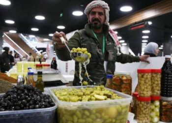 284 ألف زائر لمهرجان الزيتون حتى اليوم السابع