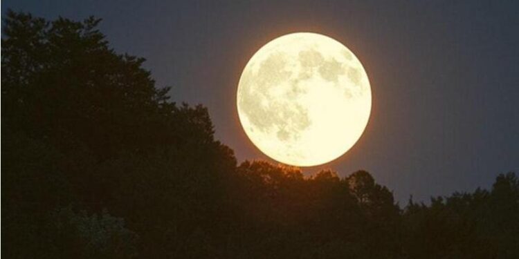 سماء الأردن تشهد ظواهر فلكية لافتة مع بداية 2026