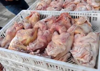 بلدية بني عبيد تغلق مسلخ دجاج مخالفاً للصحة العامة في الصريح