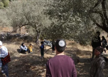 تقرير: الاحتلال يستخدم سياسة ممنهجة لتفريغ القرى الفلسطينية من سكانها