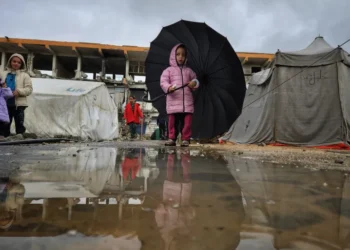 الأمم المتحدة: 55 ألف عائلة تأثرت بالأمطار والعواصف الأخيرة في غزة