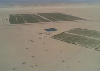 الحيصة : العمل جارٍ لإنشاء منطقة تنموية اقتصادية في وادي عربة