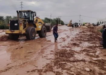 لقاء حكومي نيابي لبحث معالجة آثار السيول في الكرك وحماية المواقع الأثرية