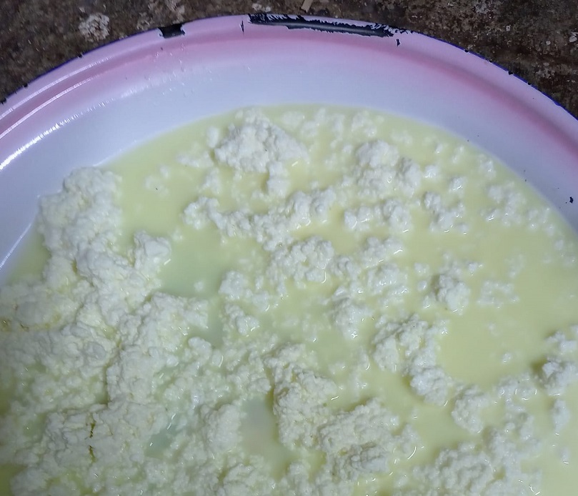 موسم الحثيمة في الأردن يصل إلى ذروته