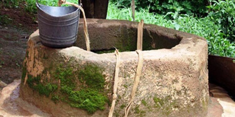 إربد.. امتلاء آبار الحصاد المائي وتفجر الينابيع ونمو الربيع