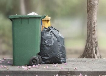 وزير البيئة: 11 ألف مخالفة متعلقة بالإلقاء العشوائي للنفايات خلال العام الماضي