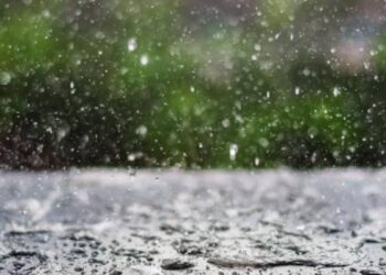 الأغوار تسجل أعلى مجموع مطري بواقع 55.2 ملم خلال الهطولات الأخيرة