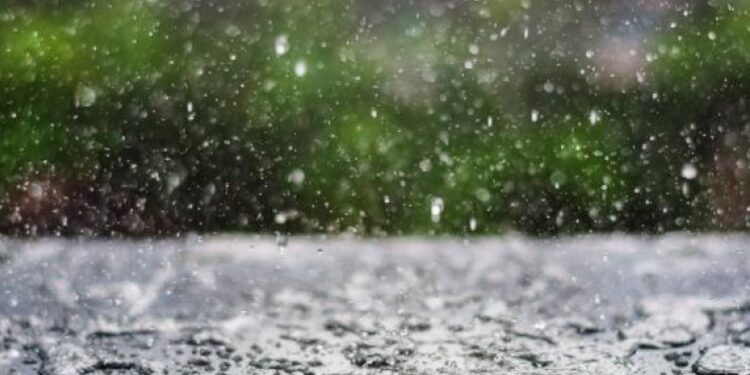 الأغوار تسجل أعلى مجموع مطري بواقع 55.2 ملم خلال الهطولات الأخيرة