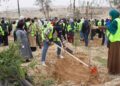 بلديات المملكة تزرع نحو 70 ألف شجرة ضمن حملة التشجير والتخضير