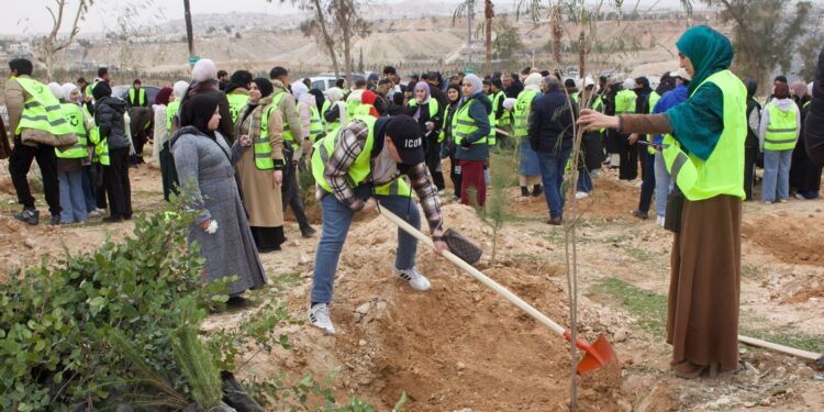 بلديات المملكة تزرع نحو 70 ألف شجرة ضمن حملة التشجير والتخضير