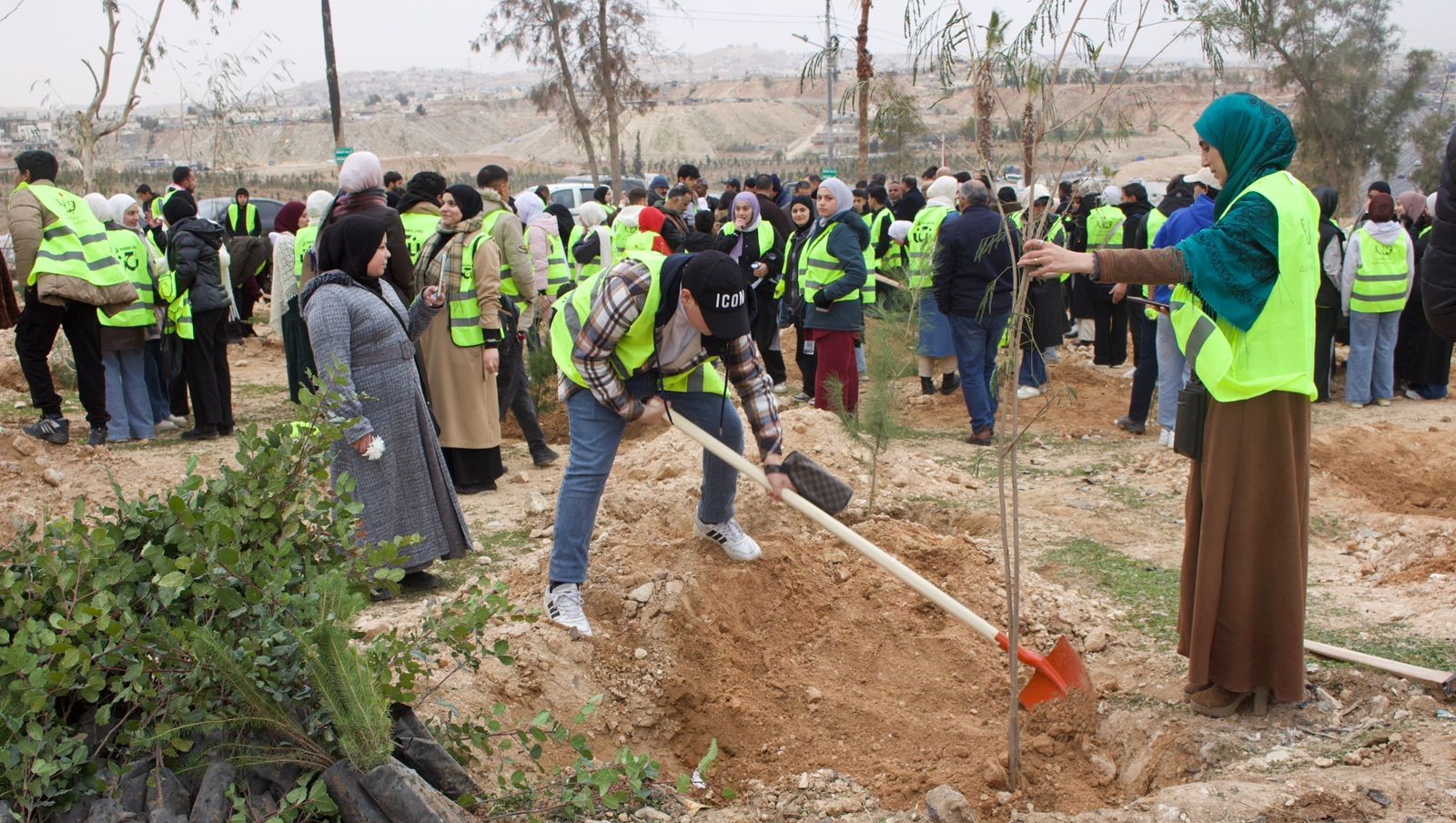 بلديات المملكة تزرع نحو 70 ألف شجرة ضمن حملة التشجير والتخضير