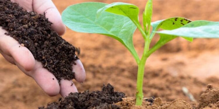 مليار دولار القيمة الإجمالية لإنتاج قطاع صناعة الأسمدة في الاردن