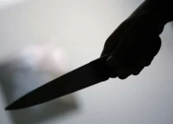 كشف ملابسات جريمة سلب وطعن سيدة على يد شقيقها في معان