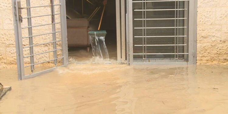 الشواربة: عمّان لم ولن تغرق