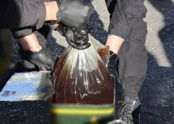 الأمن السوري يضبط شحنة ضخمة من مادة الكوكايين السائلة المخدِّرة