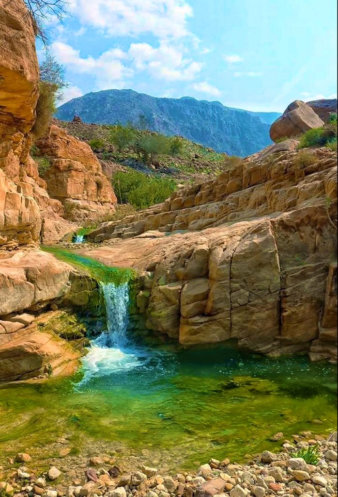 خبراء: الأمطار فرصة لتعزيز الإنصاف المناخي وحماية الطبيعة في الأردن