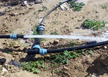 ضبط ٢٤ اعتداء على شبكات المياه في المفرق