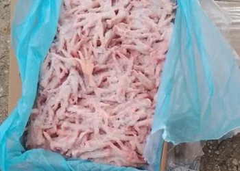أسر عفيفة تتفاجأ بتوزيع أرجل دجاج عليهم من قبل جهة خاصة