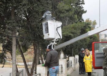 شركة الكهرباء الوطنية تؤكد جاهزيتها لمواجهة المنخفض الجوي القادم