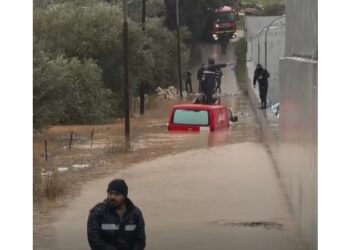 الدفاع المدني يتعامل مع غرق مركبة في ناعور