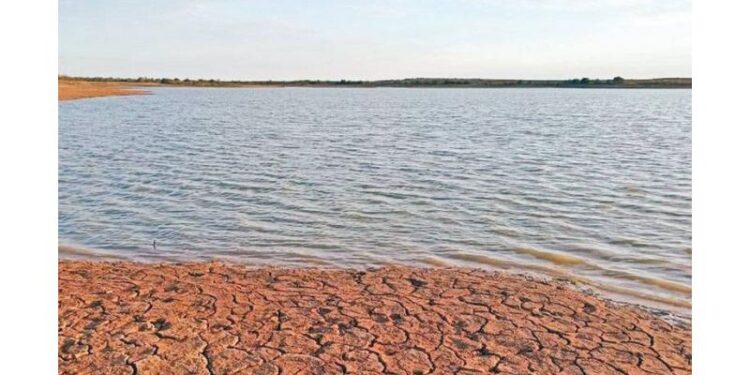 بالتعاون بين القوات المسلحة ووزارة المياه.. تنفيذ 630 حفيرة وسداً ترابياً