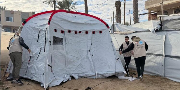 الحملة الأردنية والهيئة الخيرية توزعان خيام على النازحين في غزة