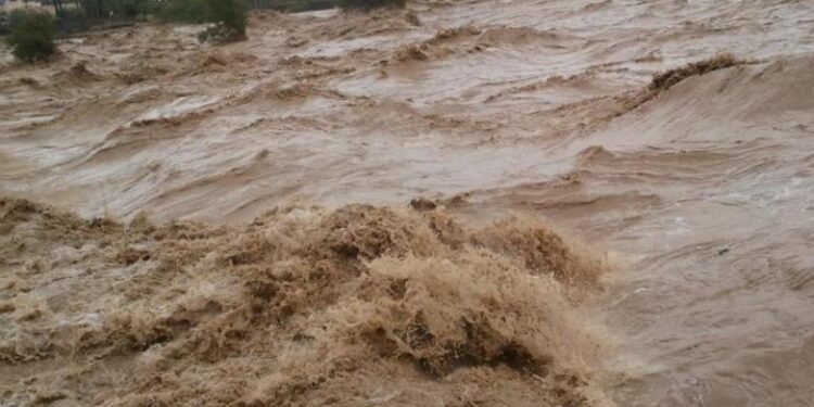 الأرصاد: الكرك تسجّل أعلى هطل مطري منذ 1971