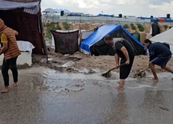 مأساة جديدة بغزة.. ليبتوسبيروز مرض تنقله الفئران والقوارض يهدد النازحين