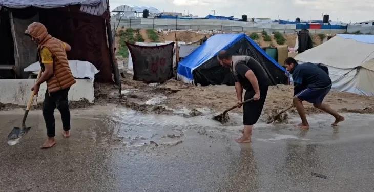 مأساة جديدة بغزة.. ليبتوسبيروز مرض تنقله الفئران والقوارض يهدد النازحين