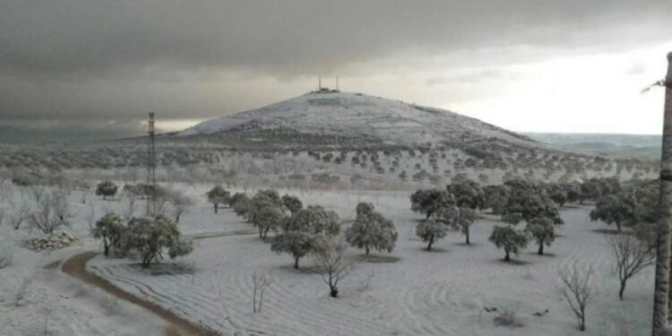 عاصفة ثلجية سيبيرية تضرب شمال سوريا وتمتد إلى العراق