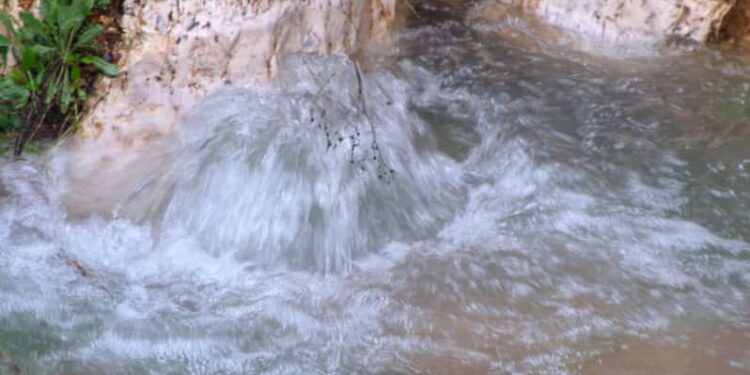 خبراء : أمطار الخير تعيد الحياة للينابيع وتعزّز التوازن البيئي