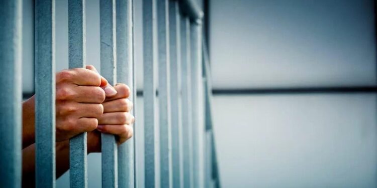 الفراية يؤكد ضرورة ترشيد التوقيف الإداري وتنفيذ ‏مشاريع اللامركزية