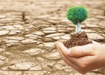 الأردن يؤكد التزامه بدعم مبادرة الشرق الأوسط الأخضر