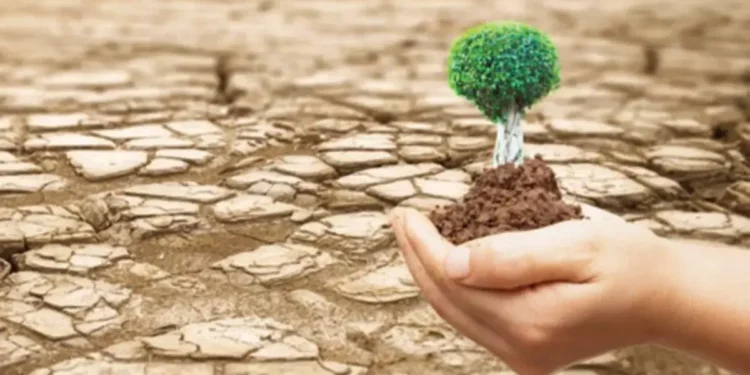 الأردن يؤكد التزامه بدعم مبادرة الشرق الأوسط الأخضر