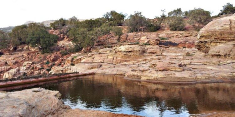 ارتفاع مساحة المحميات الطبيعية بنسبة 2.3% خلال العشر سنوات الأخيرة