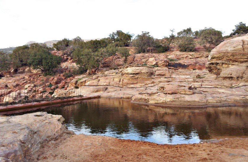 ارتفاع مساحة المحميات الطبيعية بنسبة 2.3% خلال العشر سنوات الأخيرة