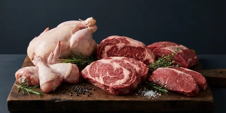 الشواربة يتفقد مسالخ الأمانة ويوجه برفع الجاهزية لاستقبال شهر رمضان