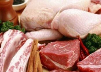 تواصل ارتفاع أسعار الدواجن واللحوم في الأردن