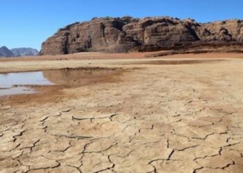 البنك الدولي: تنفيذ 41% من برنامج الاستثمارات المستجيبة للمناخ في الأردن