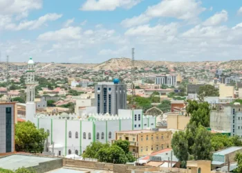 أرض الصومال يغري واشنطن.. بمعادنه وإقامة قواعد عسكرية