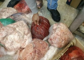 الغذاء والدواء: إغلاق 6 ملاحم بالمحطة و4 مستودعات غذائية في ماركا