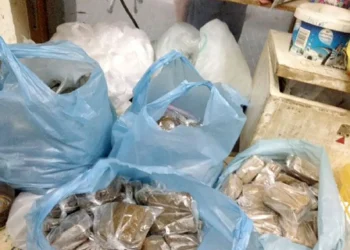 طبيب سعودي يحذر الشباب من السويكة : علبة واحدة تعادل 60 سيجارة