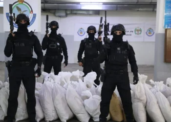 الأمن العام يتلف كميات كبيرة من المواد المخدرة في( 148) قضية