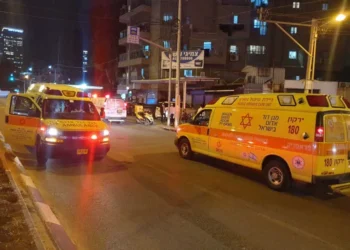 42 قتيلا منذ مطلع العام.. 5 جرائم قتل خلال ساعات بأراضي 48