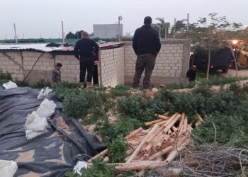 حملة لإزالة اعتداءات على مصادر المياه في الموقر وضبط المخالفين